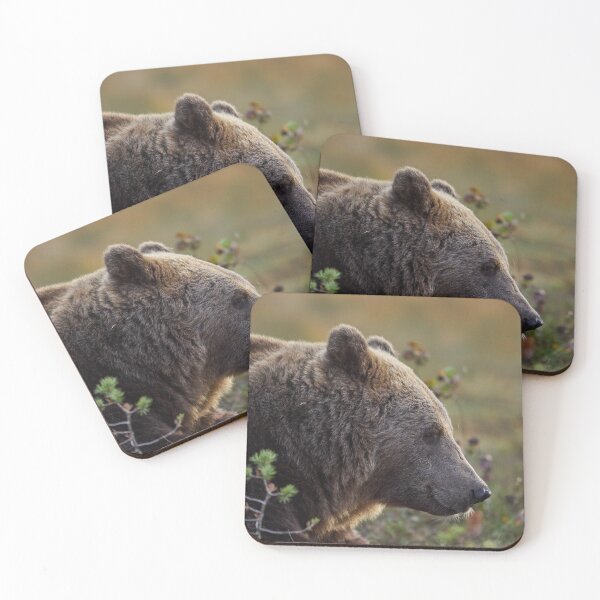 Item preview, Always remember to smile. Brown Bear designed and sold by Jouko Lehto Photography.