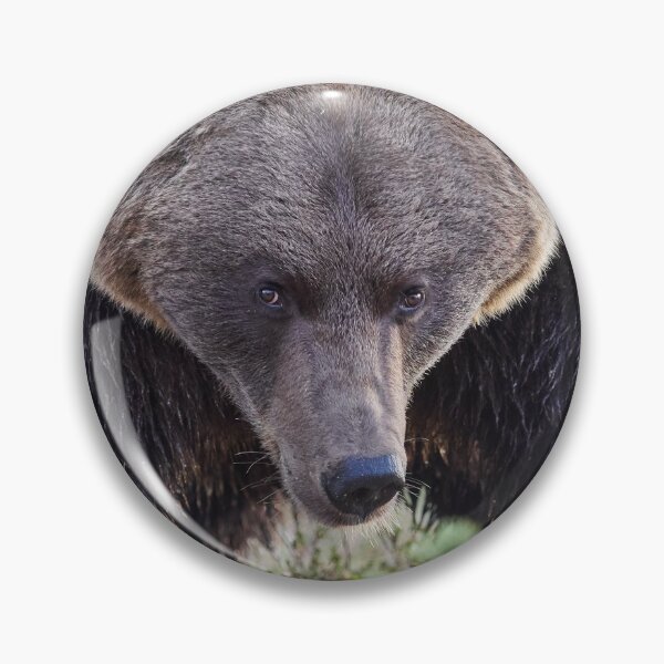 Item preview, Did you say something to me. Brown Bear designed and sold by Jouko Lehto Photography.