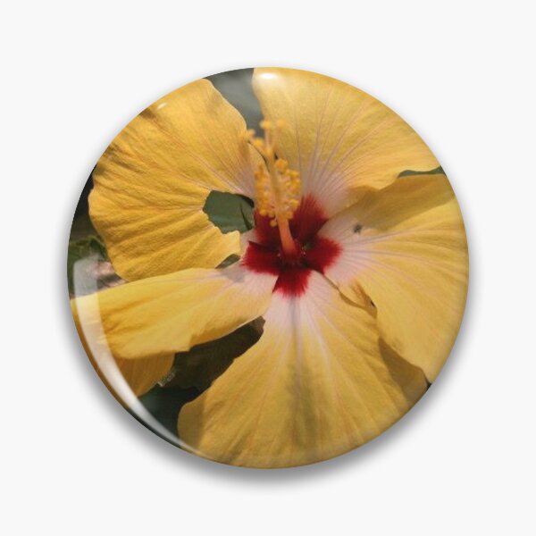 Item preview, Yellow Hibiscus designed and sold by ReneeKennedy.
