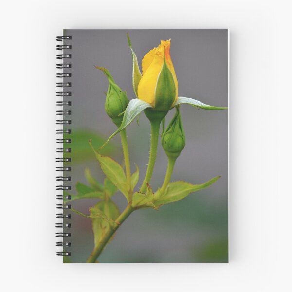 Item preview, Sweet Yellow Rose Bud designed and sold by ReneeKennedy.