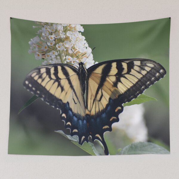Item preview, Eastern Tiger Swallowtail designed and sold by ReneeKennedy.