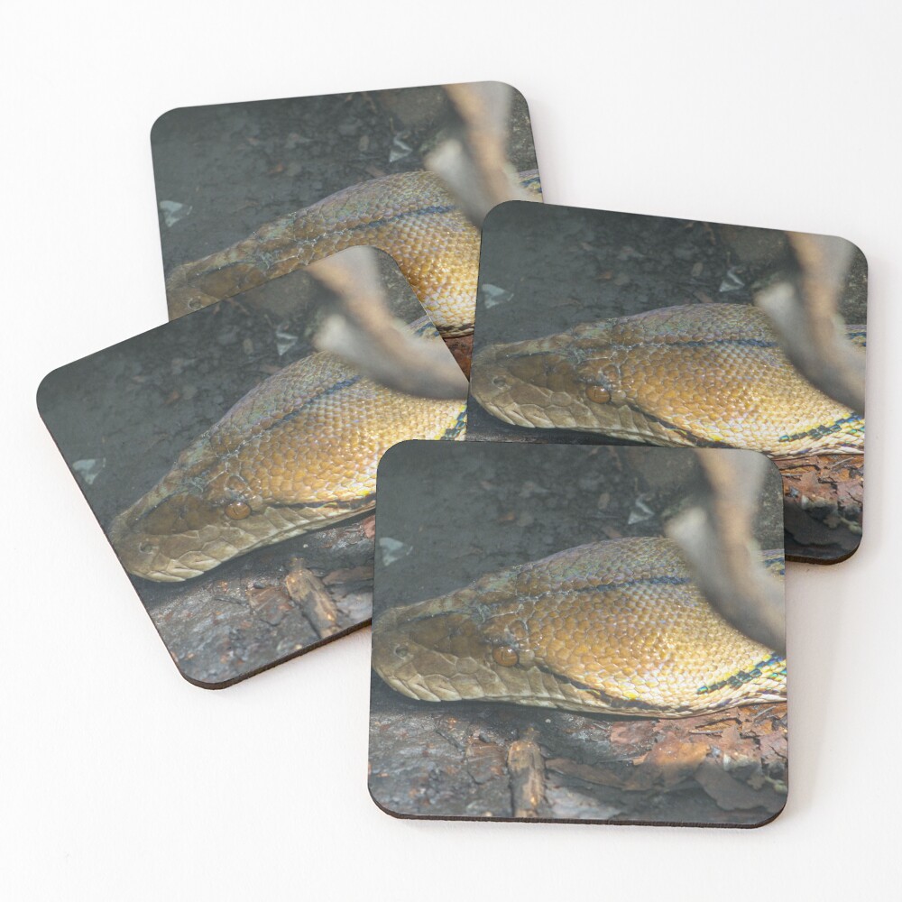 Item preview, Coasters (Set of 4) designed and sold by KcsArt87.