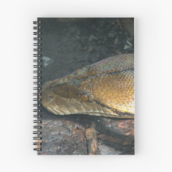 Item preview, Reticulated python designed and sold by KcsArt87.