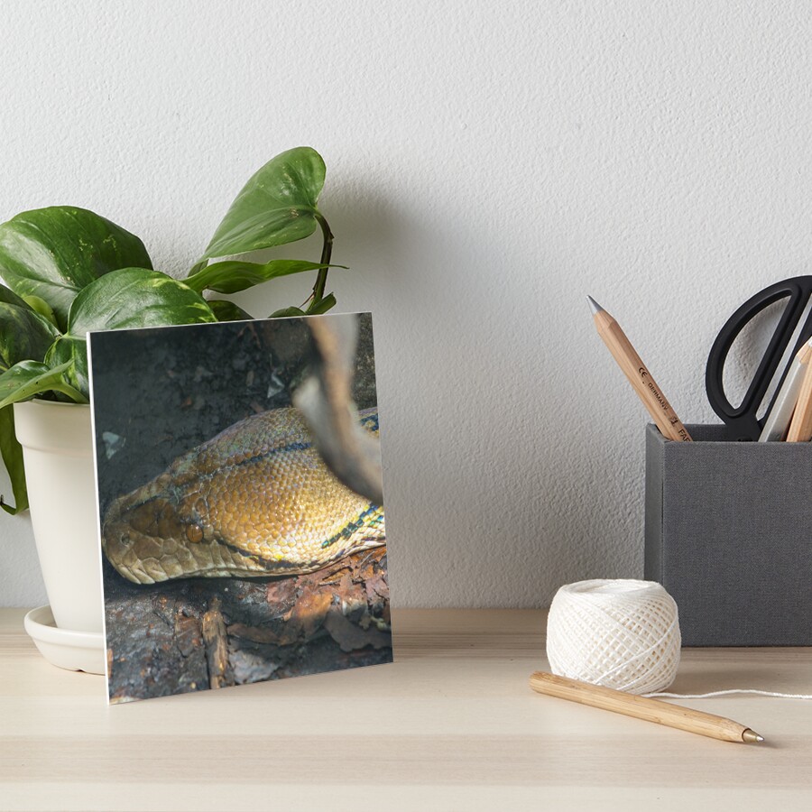 Item preview, Art Board Print designed and sold by KcsArt87.