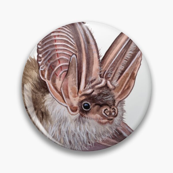 Item preview, Grey long-eared bat designed and sold by kokayart.