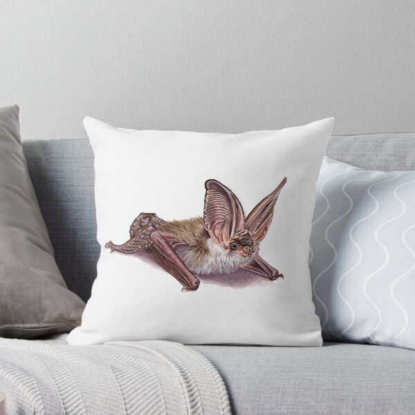 Item preview, Grey long-eared bat designed and sold by kokayart.