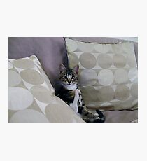 Big Foot Photographic Print