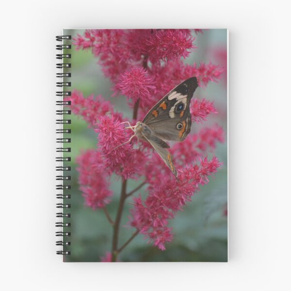 Item preview, Buckeye Butterfly on Pink Bush designed and sold by ReneeKennedy.