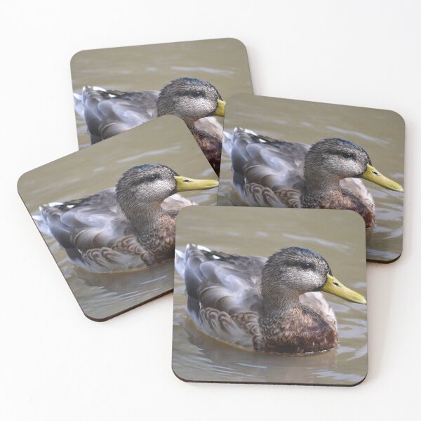 Item preview, Duck in the Water designed and sold by ReneeKennedy.