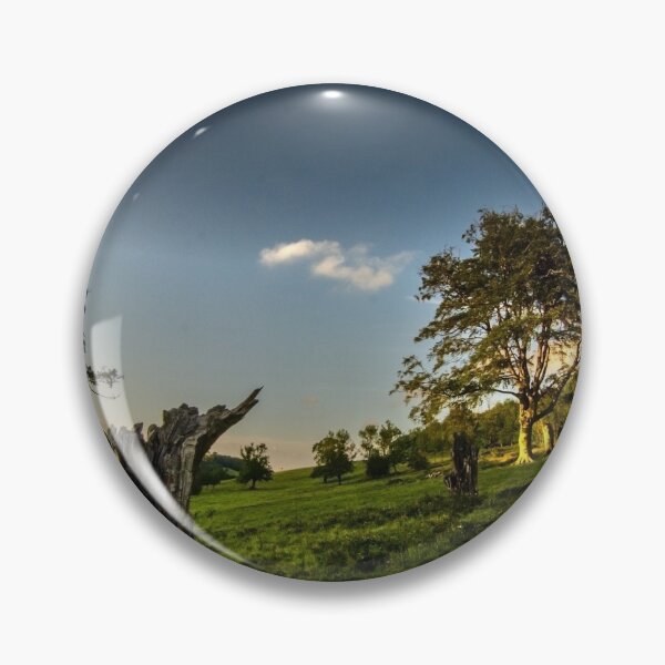 Item preview, The Valley of Trees designed and sold by spcphotography.