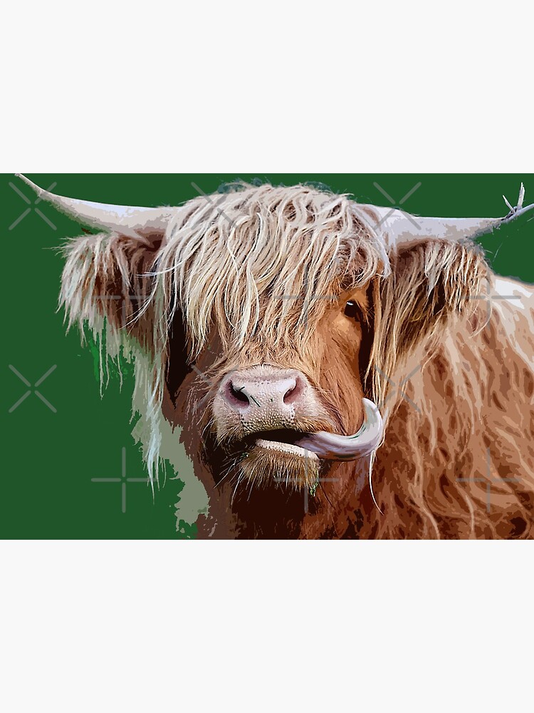 Highland Cow Print. 'licky Cow' Highland Calf Licking It's Nose
