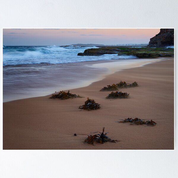 Item preview, Windswept Turimetta designed and sold by Ian English Imagery.