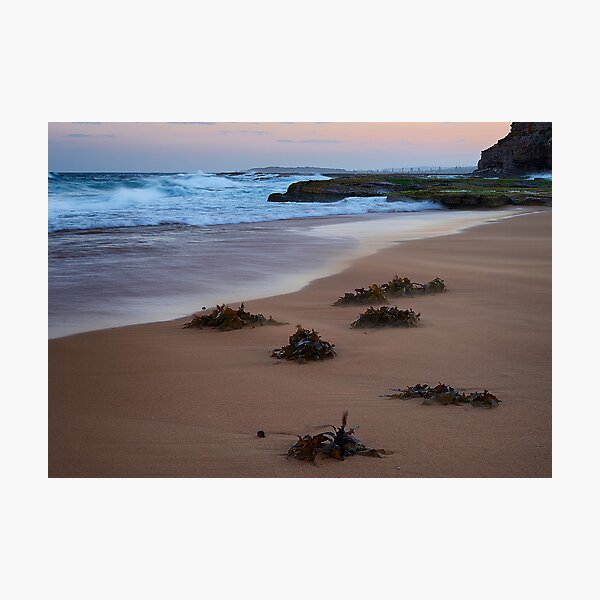 Item preview, Windswept Turimetta designed and sold by Ian English Imagery.