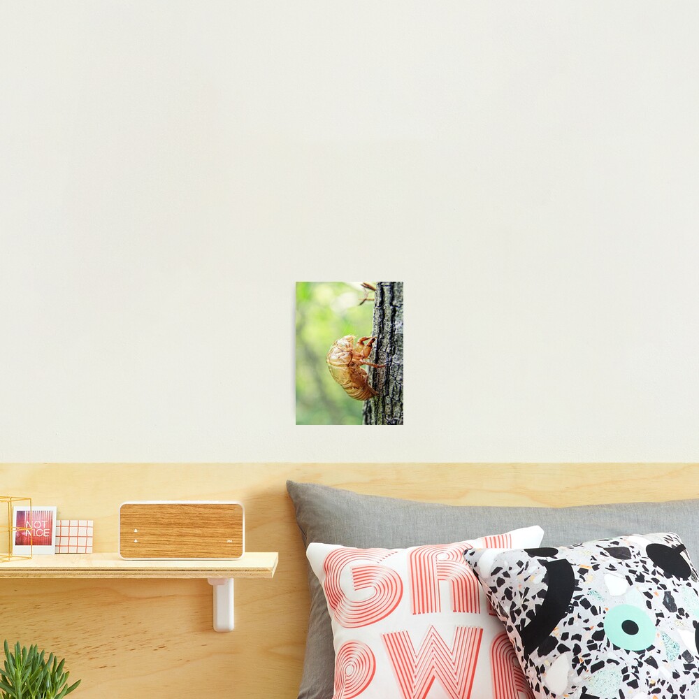 Item preview, Photographic Print designed and sold by Pandrot.