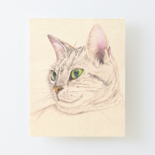 Gato realizado con lápices de colores Lámina montada de lienzo