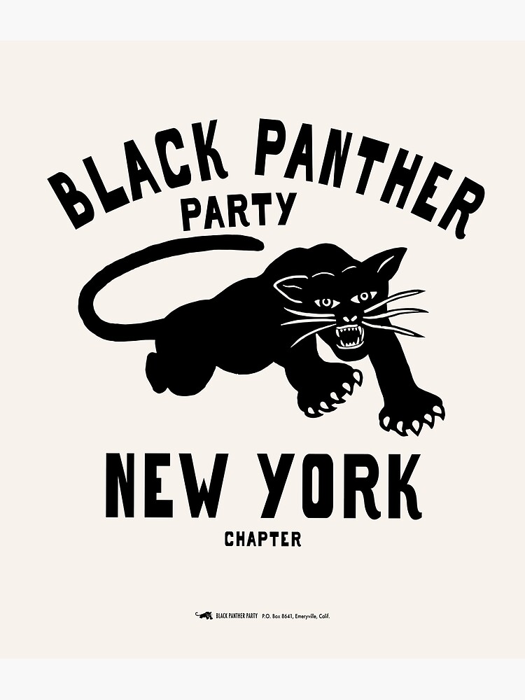 What We Don't Learn About the Black Panther Party — but Should - Zinn  Education Project