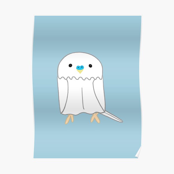 Cute white budgie boy Poster