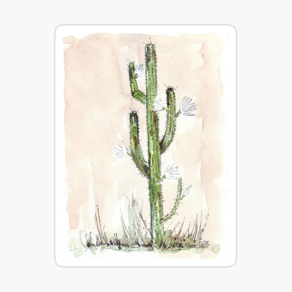 Affiche Poster Art Print Plante Grasses Cactus de Boeuf Cereus Jamacaru 