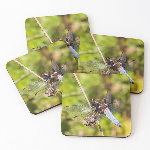 Item preview, Broad-bodied Chaser Dragonfly designed and sold by Richard Greenwood.
