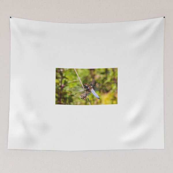 Item preview, Broad-bodied Chaser Dragonfly designed and sold by Richard Greenwood.