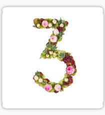 The number Three Part of a set of letters, Numbers and symbols Sticker