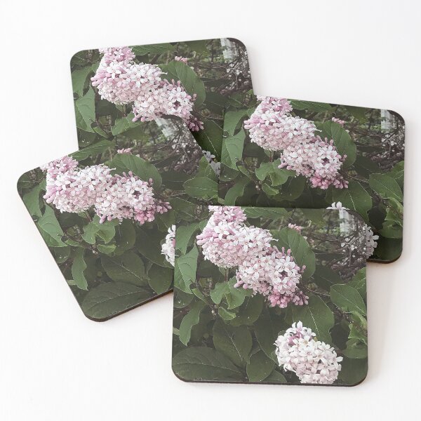 Item preview, Lil lilacs designed and sold by vieno.