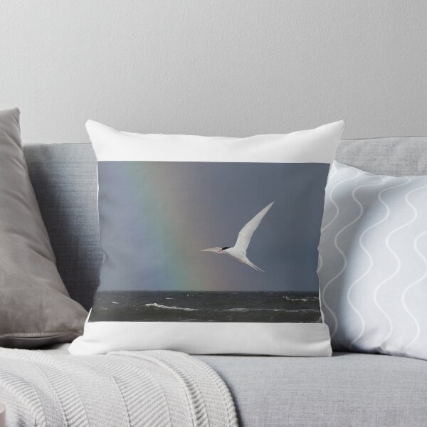 Item preview, Arctic Tern with Rainbow, North Sea designed and sold by sandysshoots.