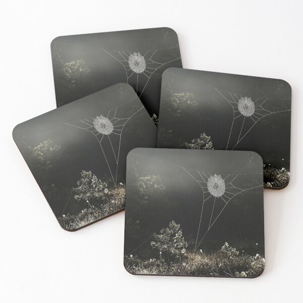 Item preview, 19.6.2020: Cobweb at Marsh designed and sold by Petri Volanen.