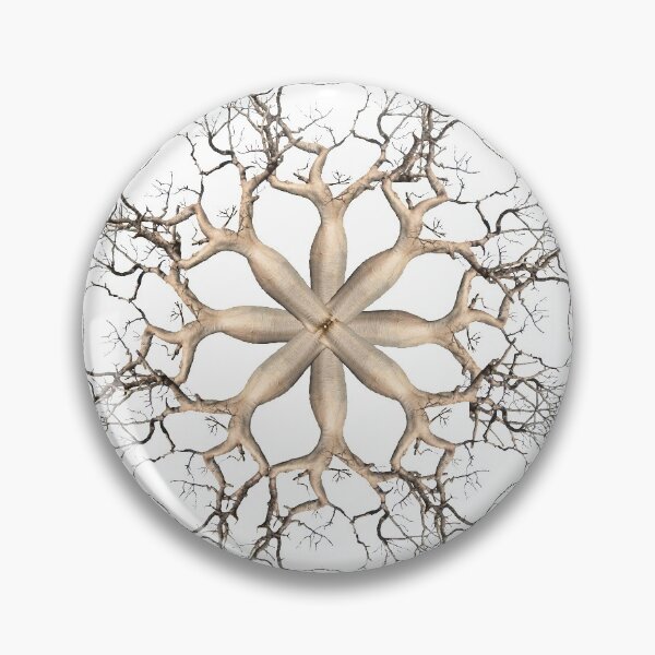 Item preview, Tree trunk 16- Adansonia gregorii (Boab) designed and sold by Tanya Scharaschkin.