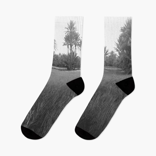 Item preview, A beautiful view of  palm trees  designed and sold by faridman.
