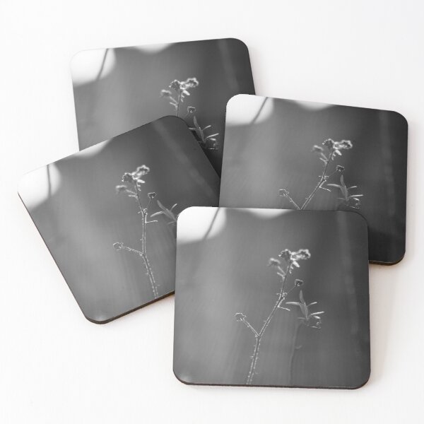 Item preview, Black and white buds designed and sold by gailgriggs.