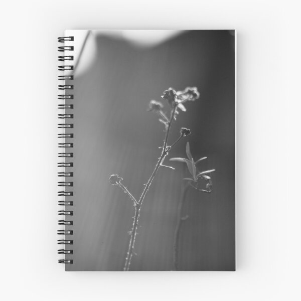 Item preview, Black and white buds designed and sold by gailgriggs.