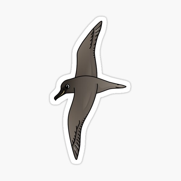 Item preview, Sooty Albatross designed and sold by Daniel Terrington.