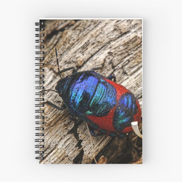 Item preview, Jewel Bug 4. designed and sold by WobblyWombat.