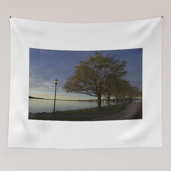Item preview, Row of Trees - Buffalo designed and sold by OutsideNY.