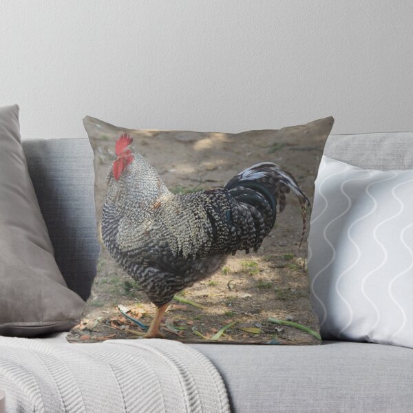 Item preview, Rooster Saleccia Park designed and sold by EstelleRossetti.
