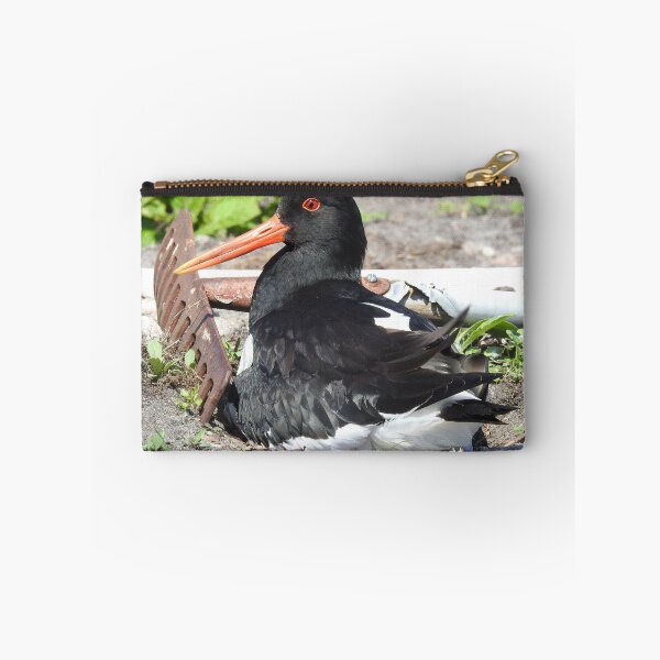 Item preview, Oystercatcher Nesting in The Early Potatoes designed and sold by sandysshoots.