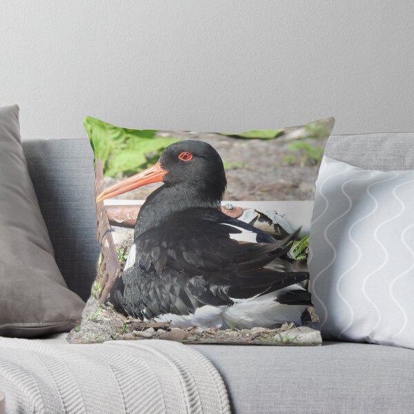 Item preview, Oystercatcher Nesting in The Early Potatoes designed and sold by sandysshoots.