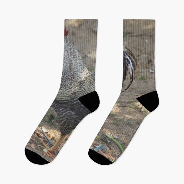 Item preview, Rooster Saleccia Park designed and sold by EstelleRossetti.