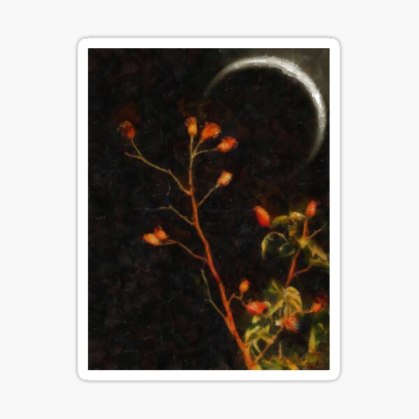 Witch Moon Sticker