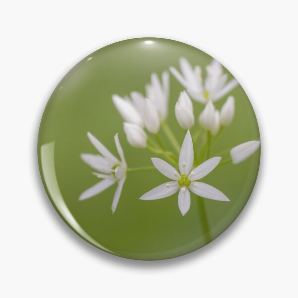 Item preview, Wild Garlic designed and sold by Alec Stewart.
