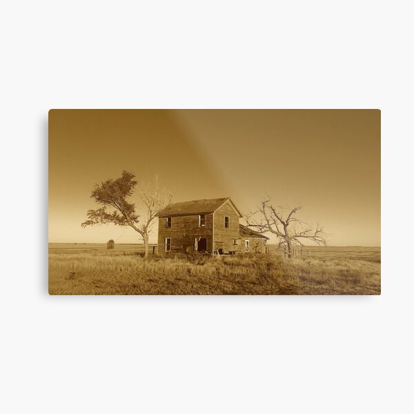 South Dakota Farmhouse by Gina Lee Ronhovde Metal Print