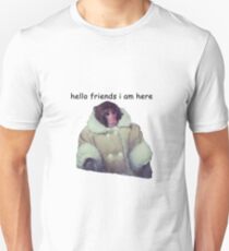hello friends i am here: ikea monkey Unisex T-Shirt