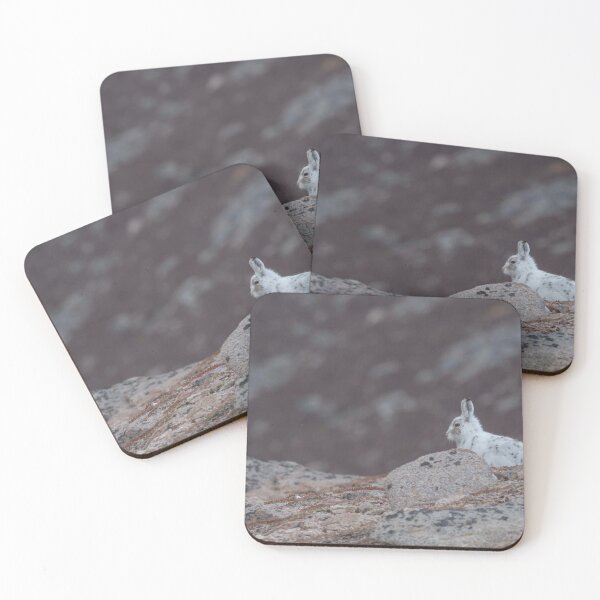 Item preview, Mountain Hare, Cairngorm designed and sold by Richard Greenwood.