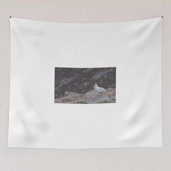 Item preview, Mountain Hare, Cairngorm designed and sold by Richard Greenwood.