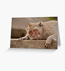 Macaques of Ulu Watu Greeting Card