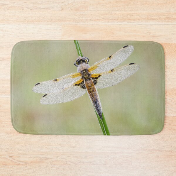 Aperçu de l'œuvre Four Chaser Dragonfly créée et vendue par Alec Stewart.