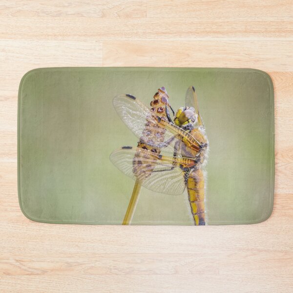 Item preview, Four Spot Chaser Dragonfly on Horsetail designed and sold by Alec Stewart.