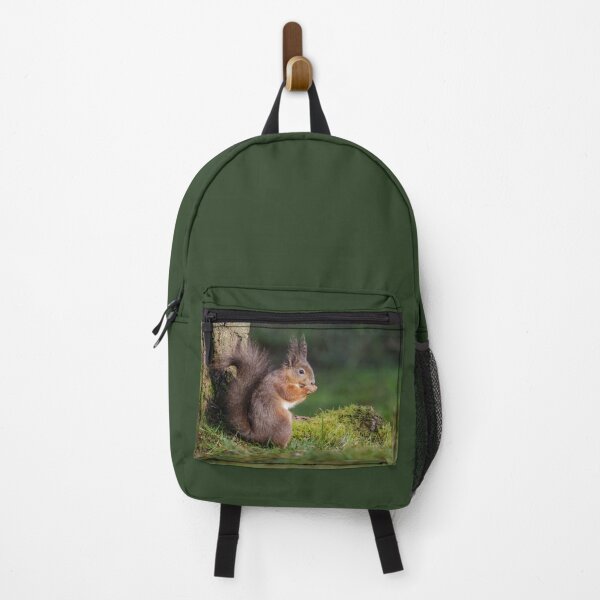 Item preview, Red Squirrel designed and sold by Alec Stewart.