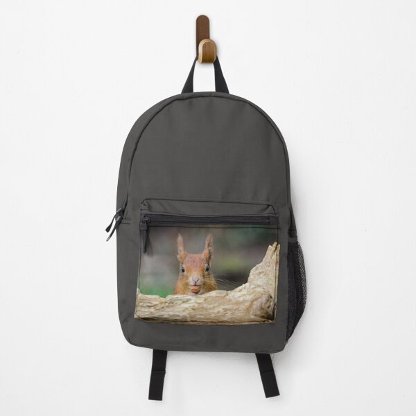 Item preview, Red Squirrel Eating Hazelnuts designed and sold by Alec Stewart.